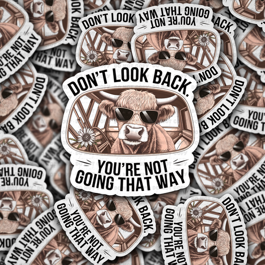 Don't look back you're not going that way sticker