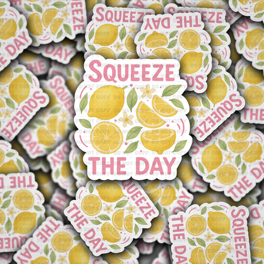 Squeeze the day sticker