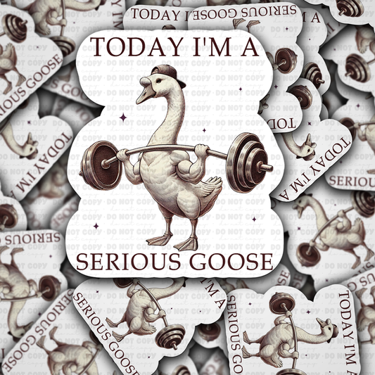 Today I'm a serious goose sticker